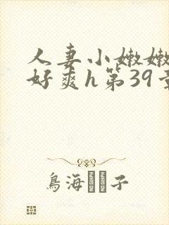 人妻小嫩嫩好紧好爽h第39章
