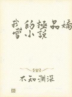 我的极品娇妻沈雪小说