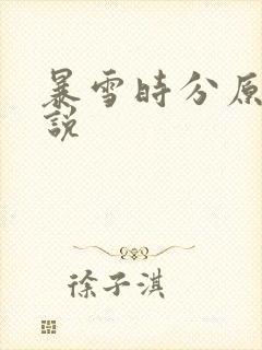 暴雪时分原著小说