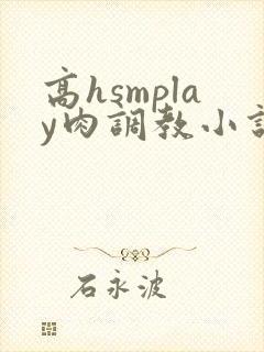 高hsmplay肉调教小说