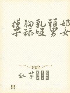 摸胸乳头奶头奶子舔吸男女