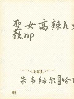 圣女高辣h文调教np