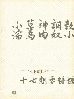 小草神调教喷水沦为肉奴小说