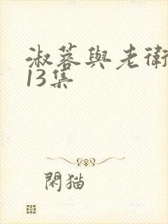 淑蓉与老卫1—13集