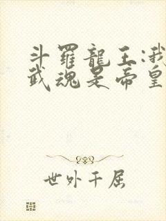 斗罗龙王:我的武魂是帝皇铠甲免费阅读