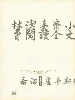 林洁秦齐小说免费阅读全文最新章节封面