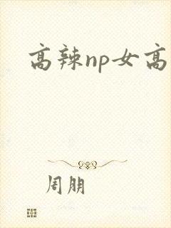 高辣np女高