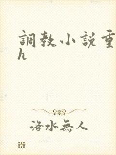 调教小说重口高h封面