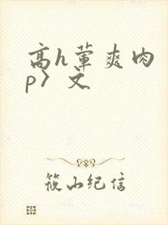 高h荤爽肉〈np〉文