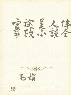 官途美人伴林峰宁欣小说全文阅读