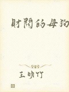 财阀的母狗们