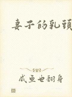 妻子的乳头小说封面
