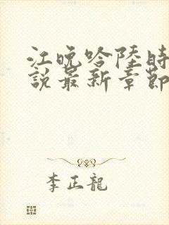 江晚吟陆时今小说最新章节更新时间封面