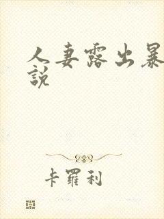 人妻露出暴露小说封面