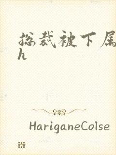 总裁被下属调教h