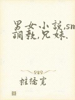 男女小说,sm调教,兄妹.封面