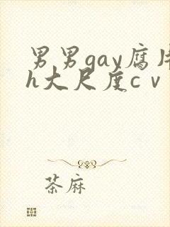 男男gay腐片h大尺度cⅴ