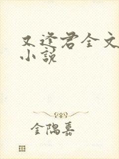 又逢君全文阅读小说