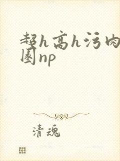 超h高h污肉校园np