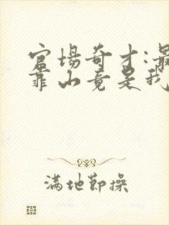 官场奇才:最强靠山竟是我自己李澜全本阅