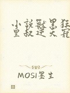 小说兽黑狂妃:皇叔逆天宠