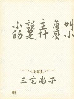 小说主角叫杨开的是什么小说