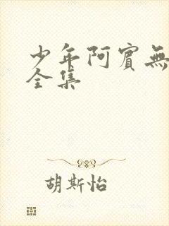 少年阿宾无删减全集封面
