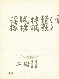 淫贼特辑(重口总攻调教)封面