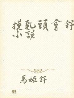 摸乳头会舒服的小说封面