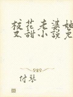 校花老婆她又软又甜小说免费阅读封面