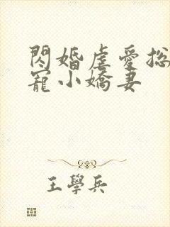 闪婚虐爱总裁独宠小娇妻封面