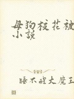 母狗校花被调教小说