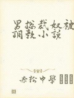 男总裁奴被绳绑调教小说