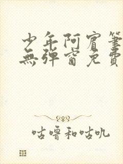 少年阿宾笔趣阁无弹窗免费