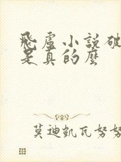 飞卢小说破解版是真的么