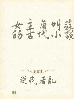 女主角叫苏婉卿的古代小说