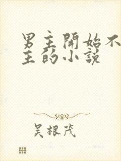 男主开始不爱女主的小说封面