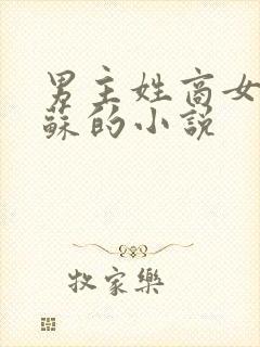 男主姓商女主姓苏的小说封面