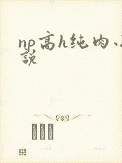 np高h纯肉小说
