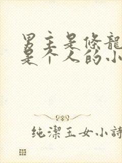 男主是条龙女主是个人的小说封面