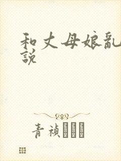 和丈母娘乱论小说封面