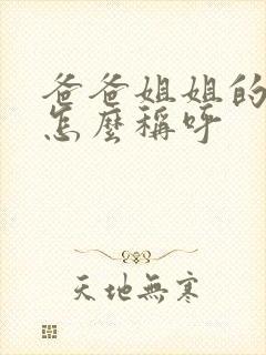 爸爸姐姐的丈夫怎么称呼