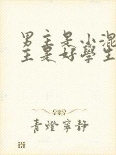 男主是小混混女主是好学生的小说