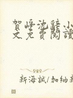 贺峥沈辞小说全文免费阅读