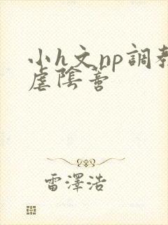 小h文np调教虐阴蒂