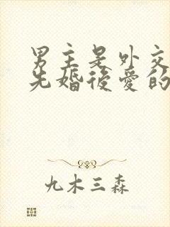 男主是外交官的先婚后爱的小说