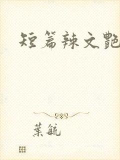 短篇辣文艳情