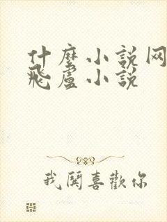 什么小说网能看飞卢小说封面