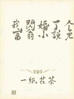 我闪婚了个亿万富翁小说免费阅读