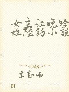 女主江晚吟男主姓陆的小说